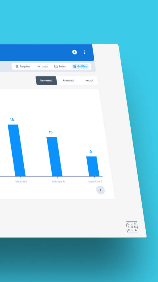 Customela - UI Design - Graph charts closeup
